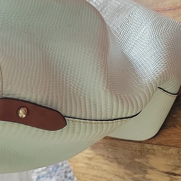 Dooney & Bourke White/Light Blue Lizard Satchel - Picture 14 of 17